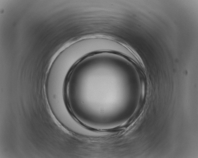X0000081390813200701111516
