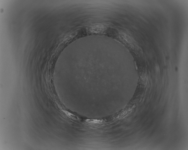 X0000081390817200701111515