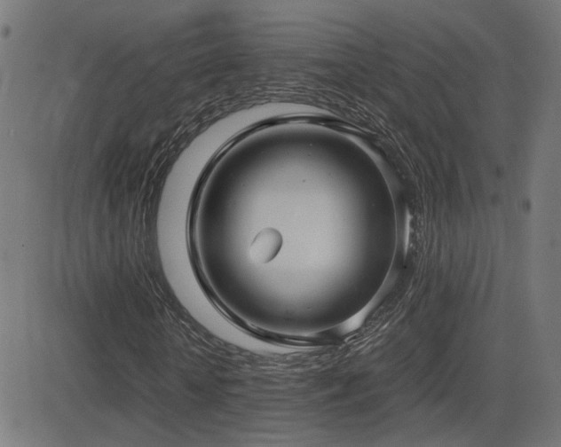 X0000081390818200701111515