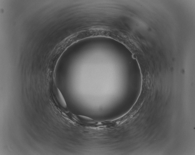 X0000081390821200701111515