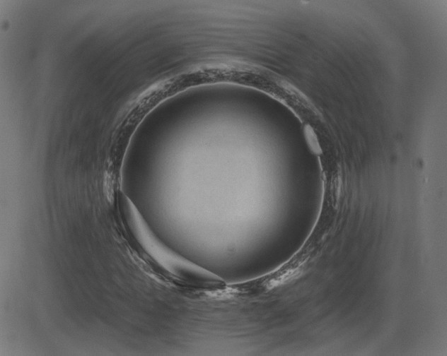 X0000081390822200701111515