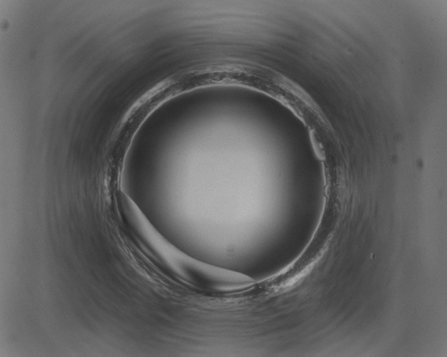 X0000081390826200701111515