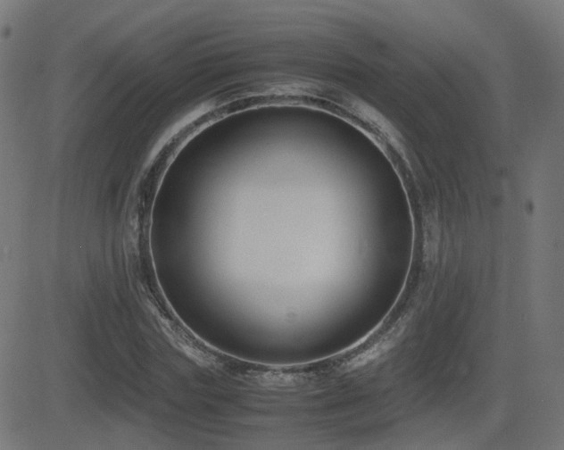 X0000081390827200701111515