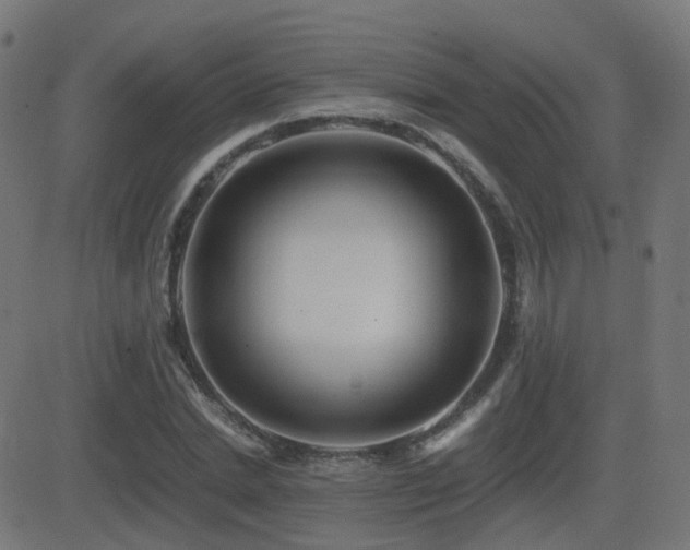 X0000081390830200701111515