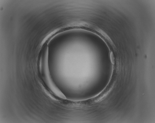 X0000081390834200701111515