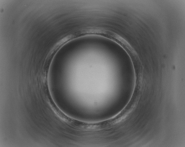 X0000081390841200701111515