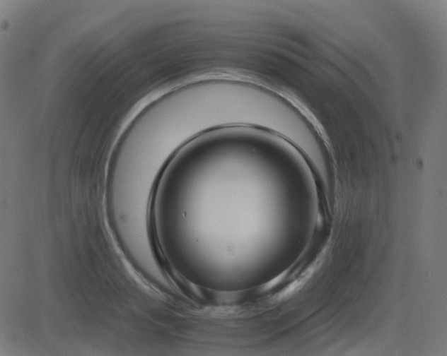X0000081390845200701111515
