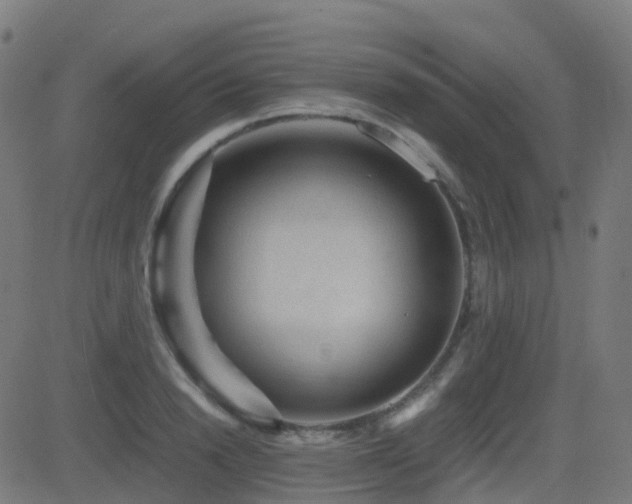 X0000081390846200701111515
