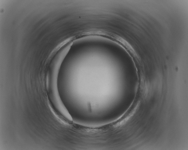 X0000081390849200701111516