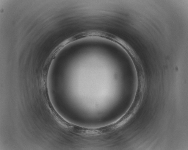 X0000081390857200701111516