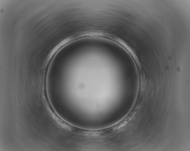 X0000081390861200701111516