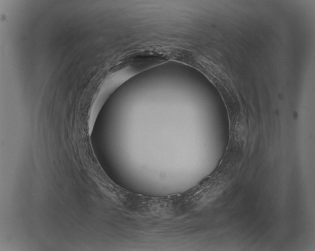 X0000081390865200701111515