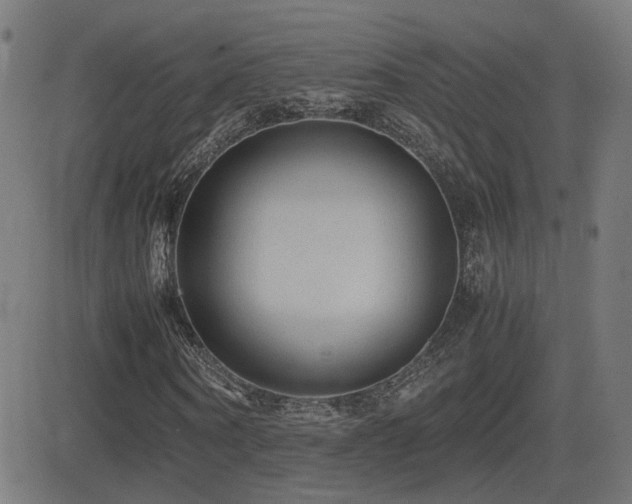 X0000081390866200701111515