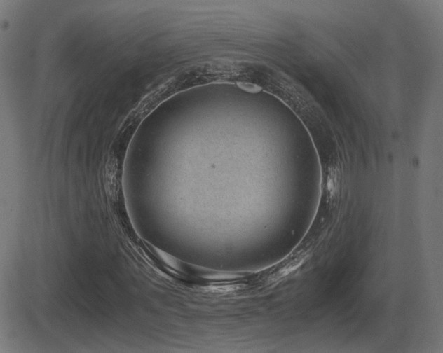X0000081390867200701111515