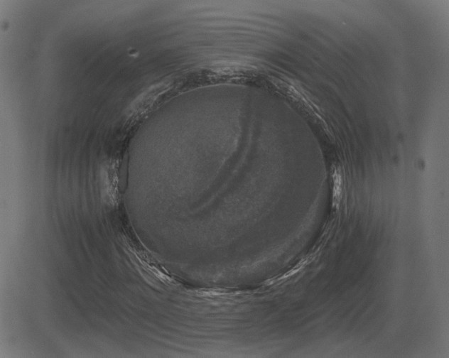 X0000081390868200701111515