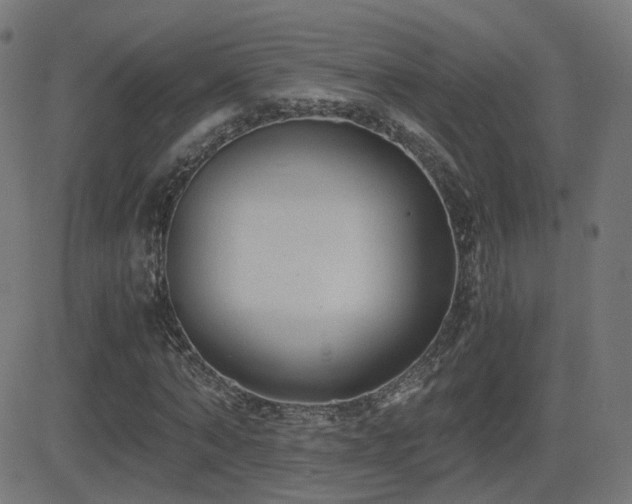 X0000081390870200701111515