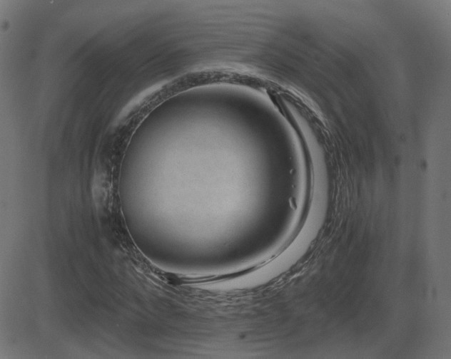 X0000081390872200701111515
