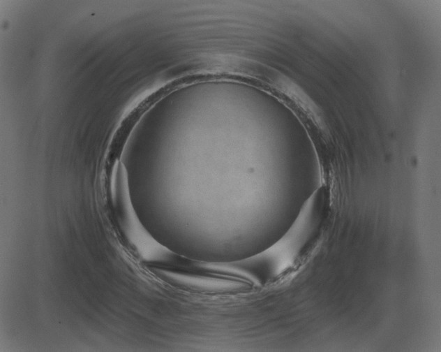 X0000081390876200701111515