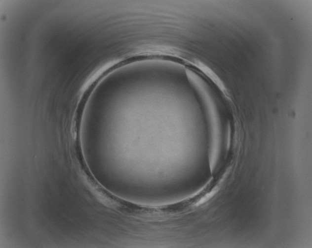 X0000081390885200701111515