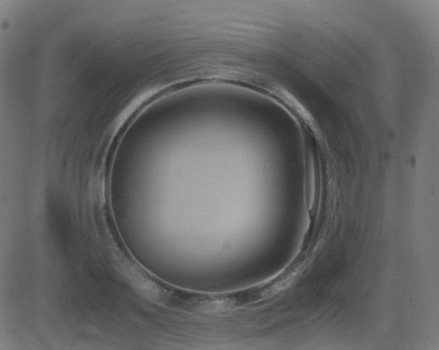 X0000081390891200701111515