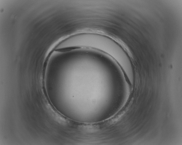 X0000081390896200701111514