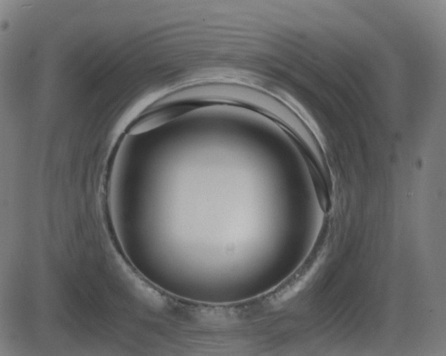 X0000081390901200701111514