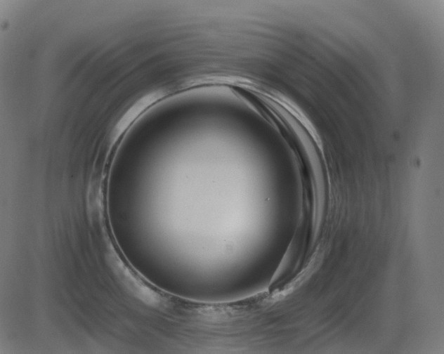X0000081390906200701111514