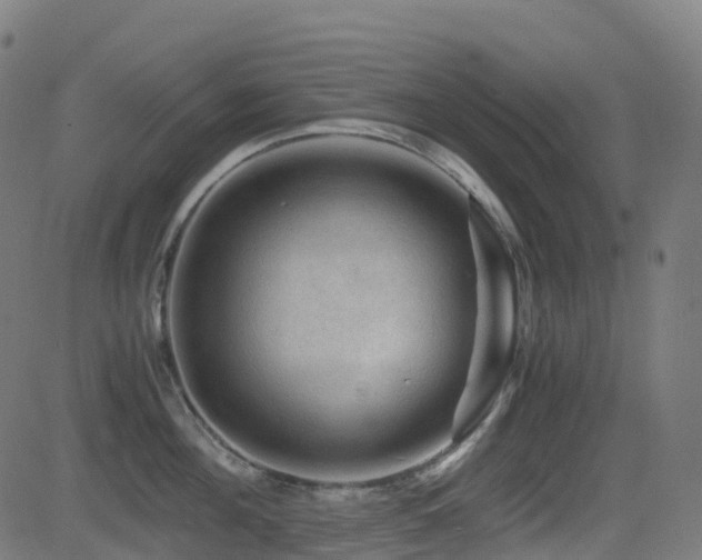 X0000081390908200701111514