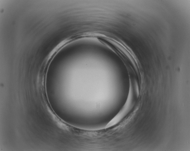 X0000081390909200701111514