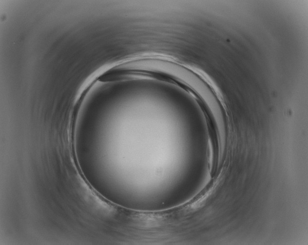 X0000081390910200701111514