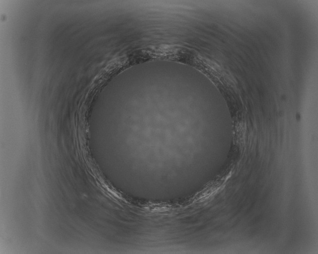 X0000081390913200701111513