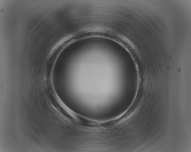 X0000081390922200701111514
