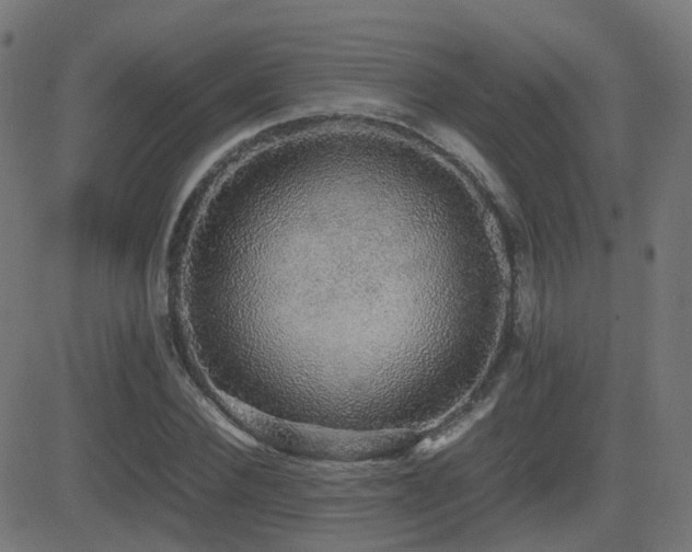 X0000081390924200701111514