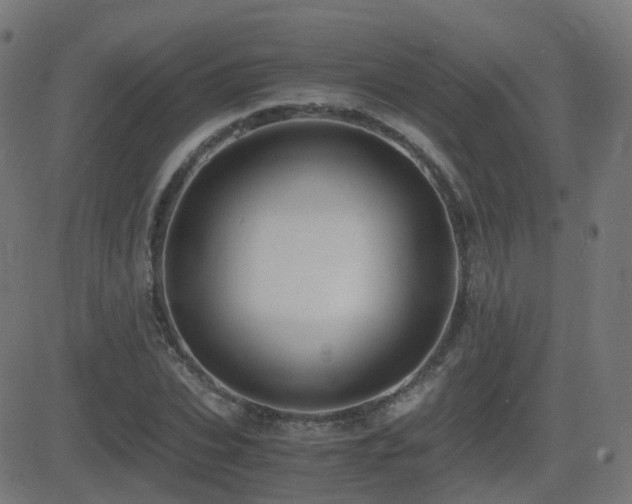 X0000081390927200701111514