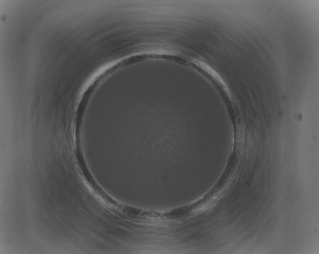 X0000081390935200701111514