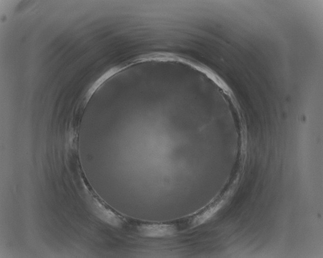 X0000081390953200701111514