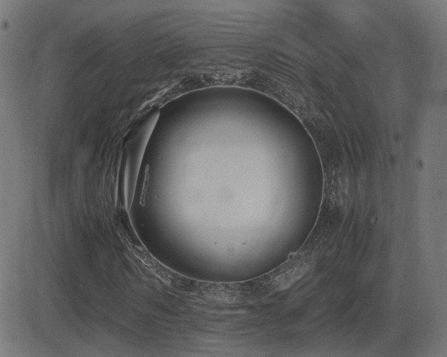 X0000081390962200701111513