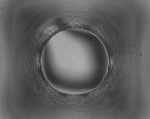 X0000081390963200701111513
