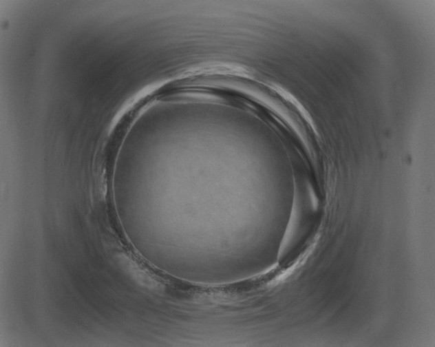 X0000081390973200701111513
