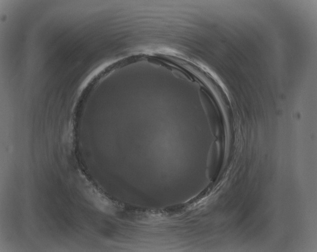 X0000081390975200701111513