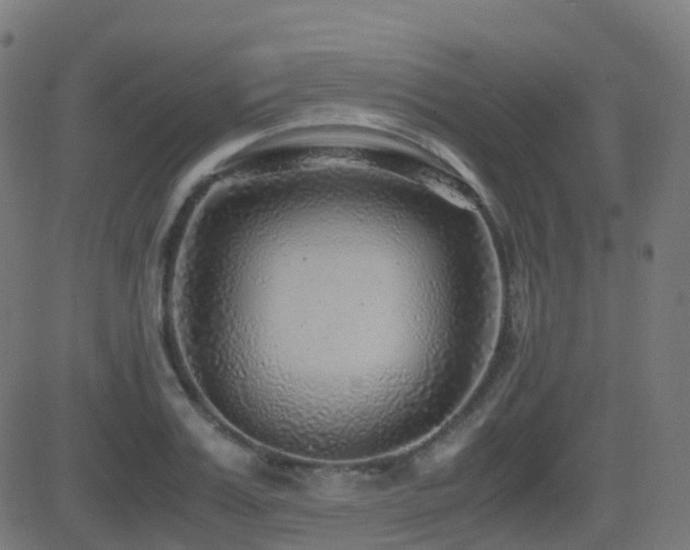 X0000081390987200701111513