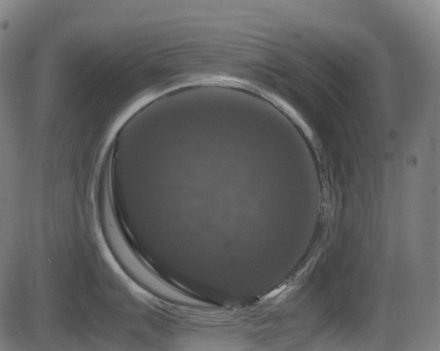 X0000081391007200701111513