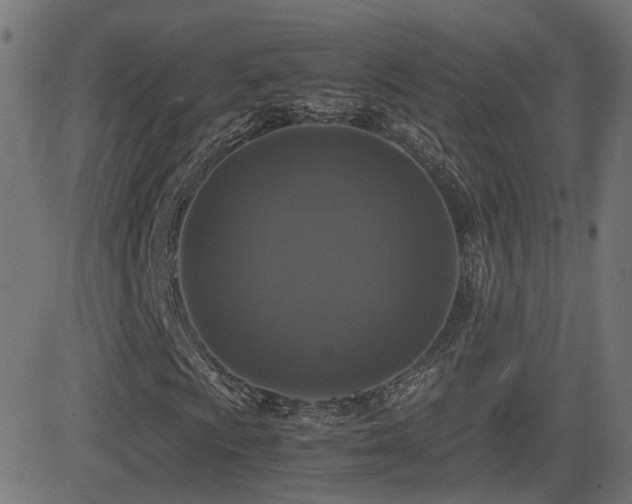 X0000081391009200701111512