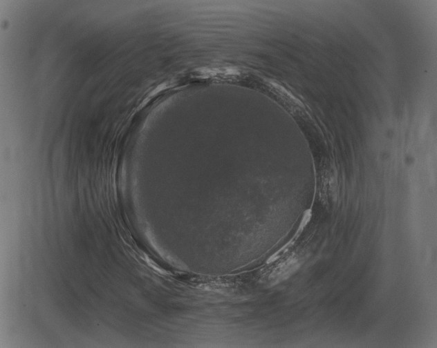 X0000081391010200701111512