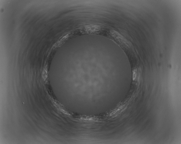 X0000081391011200701111512