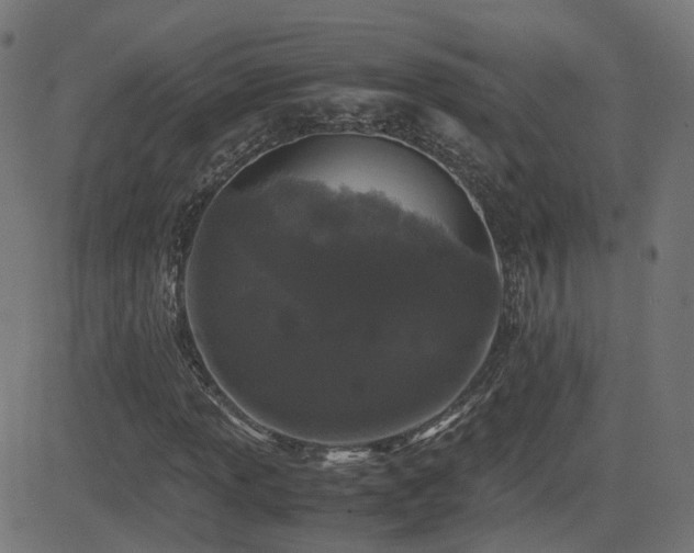 X0000081391013200701111512