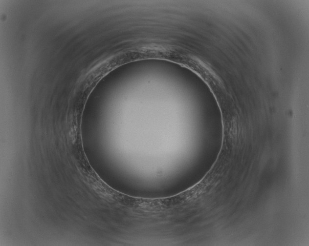 X0000081391015200701111512