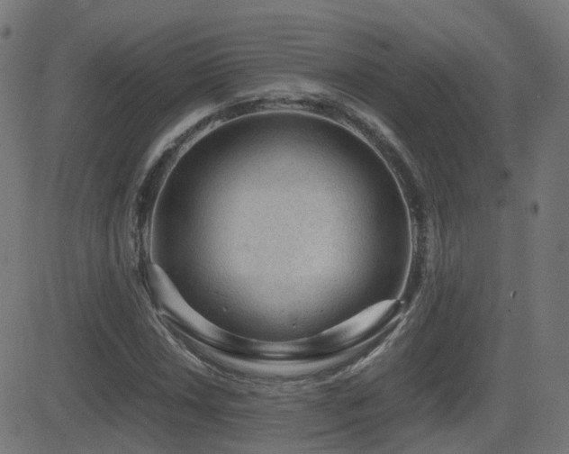 X0000081391018200701111512