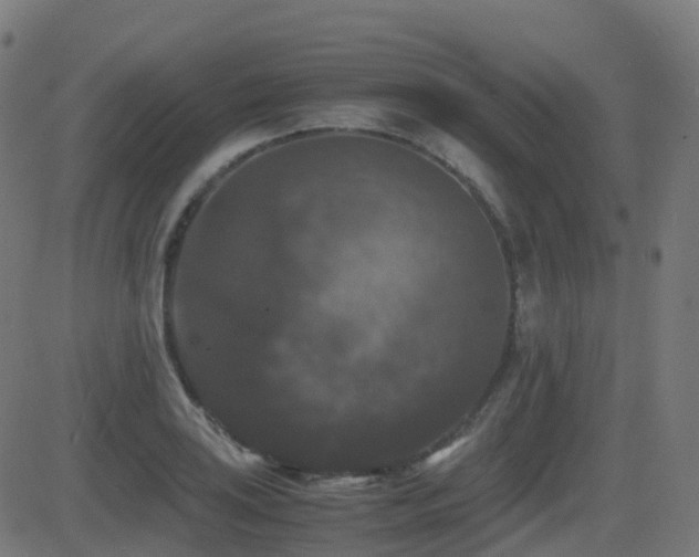 X0000081391035200701111512