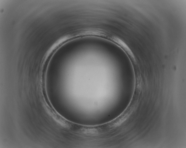 X0000081391043200701111512
